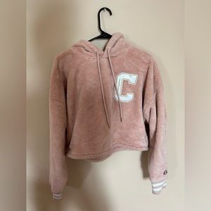 Champion Cropped Hoodie, Size Medium (juniors)